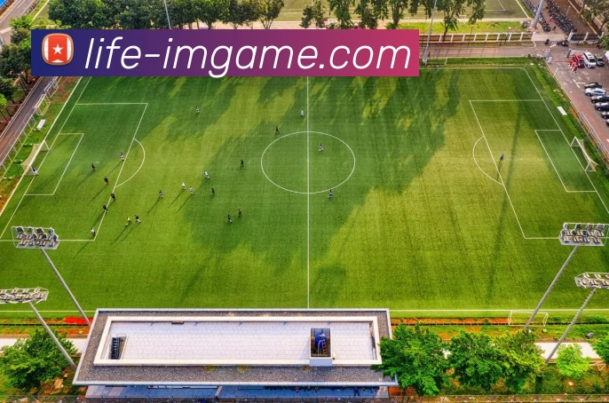 App Interface Preview